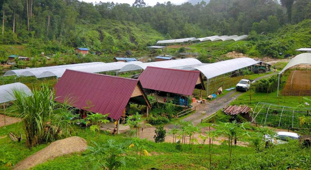 云顶半山土崩百人受困