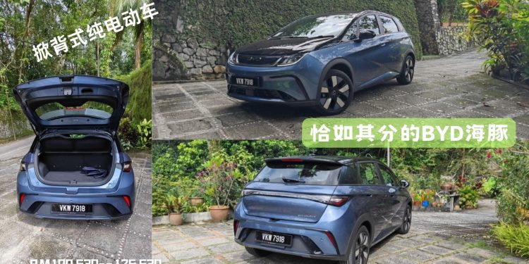 比亚迪海豚，排众而出的新能源车