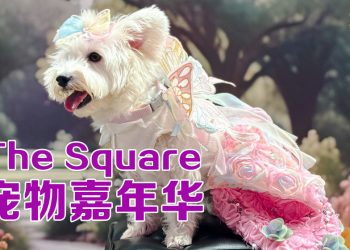 The Square 庆祝马来西亚首届快乐宠物嘉年华