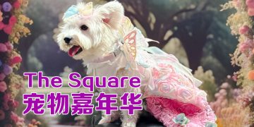 The Square 庆祝马来西亚首届快乐宠物嘉年华