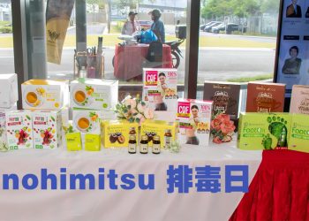 Kinohimitsu 排毒日：调整、恢复、持续