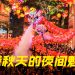 夜幕下的香港魅力  秋季的夜间体验