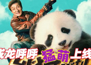 《熊猫计划》萌神呼呼征服武打巨星成龙 1010 一起卖萌