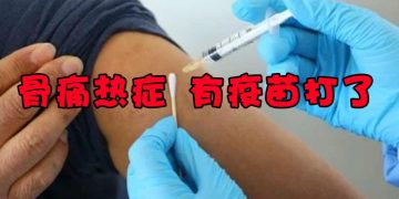 避开骨痛热症 如今有疫苗了！