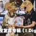 台湾乐团 The Dinosaur’s Skin首张概念专辑喜获世界知名音乐人合作