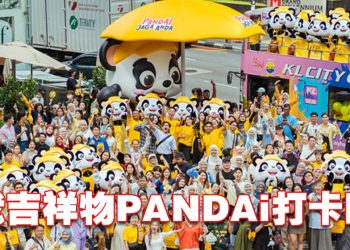 MR D.I.Y. PANDAi 照顾您   关爱国人的需要