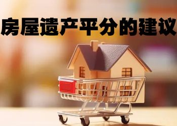 【未来幸福蓝图】让孩子平分遗产如何规划？