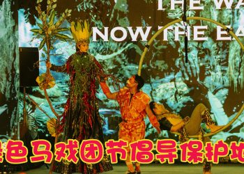 地球交响曲世界级表演  把绿色行动化作艺术