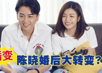 陈妍希陈晓离婚 | 男方婚后态度大变  刘亦菲评价「看穿」二人隔阂