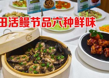 莆田活鳗节  六种传统烹调尝尽鲜味