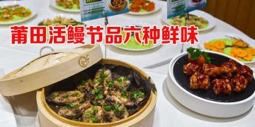 莆田活鳗节  六种传统烹调尝尽鲜味