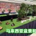 马来西亚盆景和水石展举行至11月30日   欢迎观赏与交流