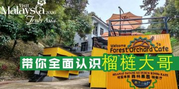 榴梿大哥 为果农推介标准作业程序