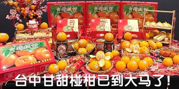 一马当先 | 台中椪柑祭 金橘迎春大吉大利过好年