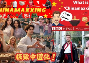 “极致中国化”爆火的背后因素