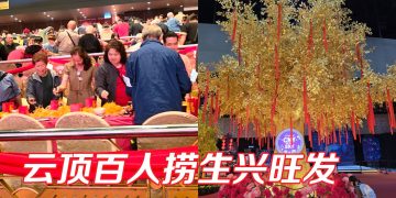 云顶世界百人捞生积善余庆  璀璨新春装潢成打卡风景线