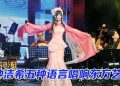钟洁希《华音如梦音乐会》华乐与流行交织疗愈之声