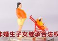 【未来幸福蓝图】非婚生子女有机会继承遗产