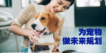 【未来幸福蓝图】主人勿遗忘为宠物规划未来