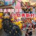 【天丝总庙绕境巡安】沙叻秀新村大游神圆满落幕
