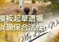 【未来幸福蓝图】自行起草遗嘱因见证程序疏漏导致失效